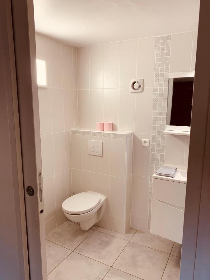 Appartement Independant Avec Jardin Et Acces Piscine 尼姆 外观 照片